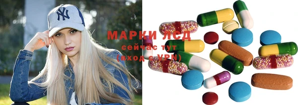 apvp Богданович