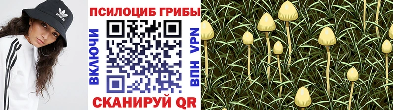 купить наркотик  blacksprut зеркало  Псилоцибиновые грибы ЛСД  Буйнакск 